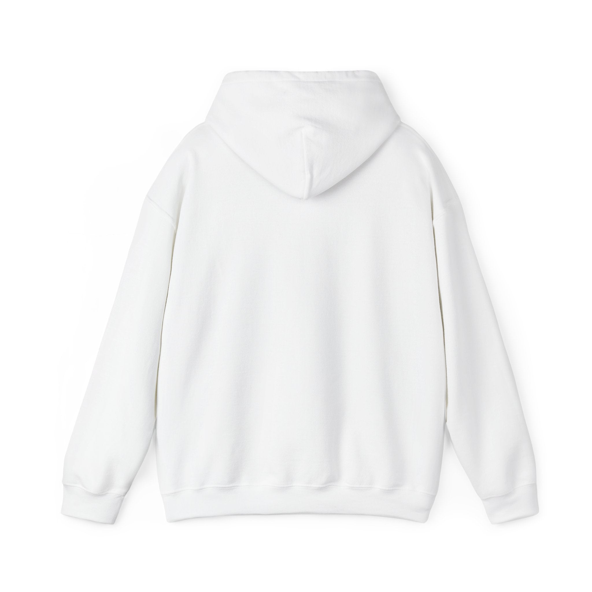 Hoodie — "Discipline Today Leads to Freedom Tomorrow" Motivational Pullover