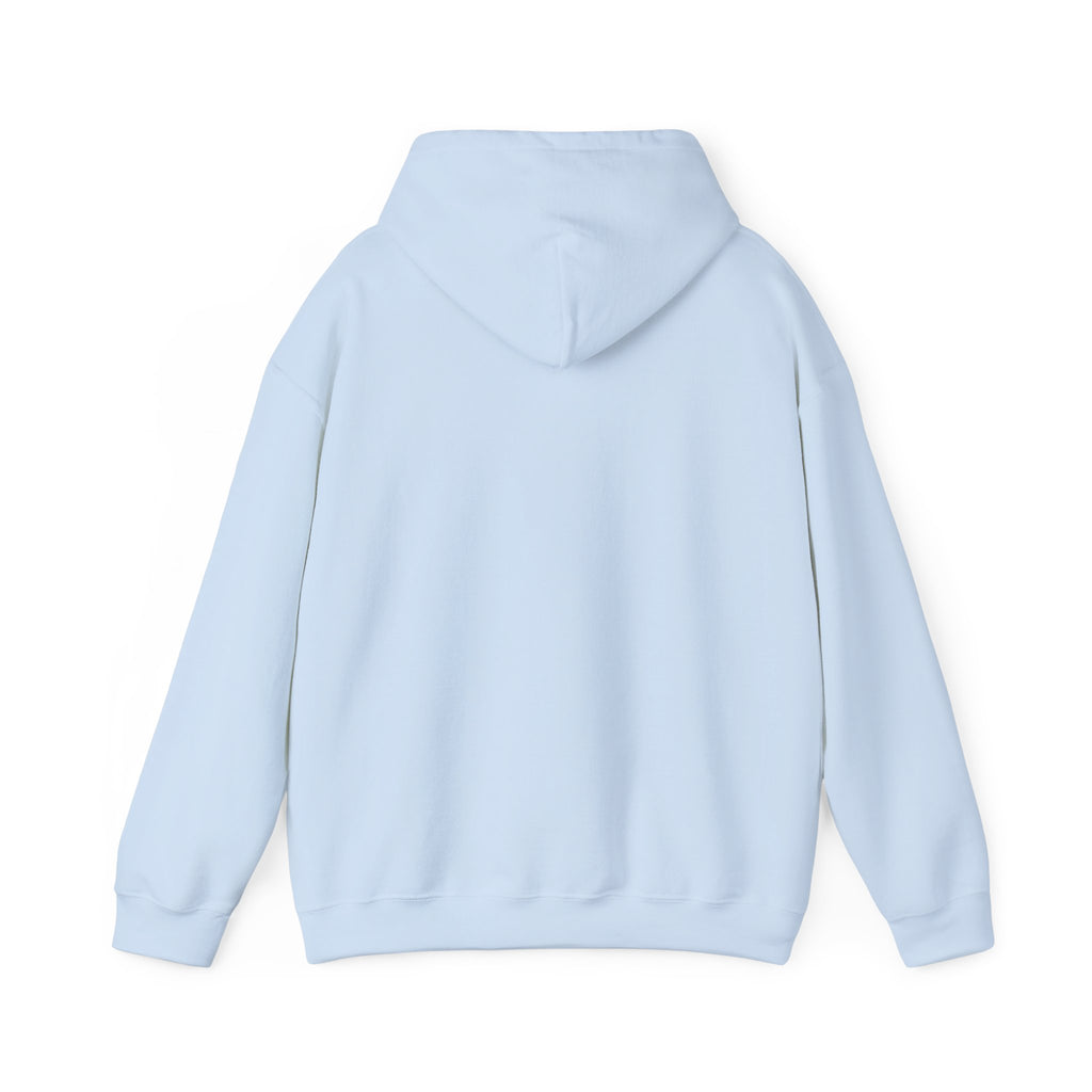 Hoodie — "Discipline Today Leads to Freedom Tomorrow" Motivational Pullover