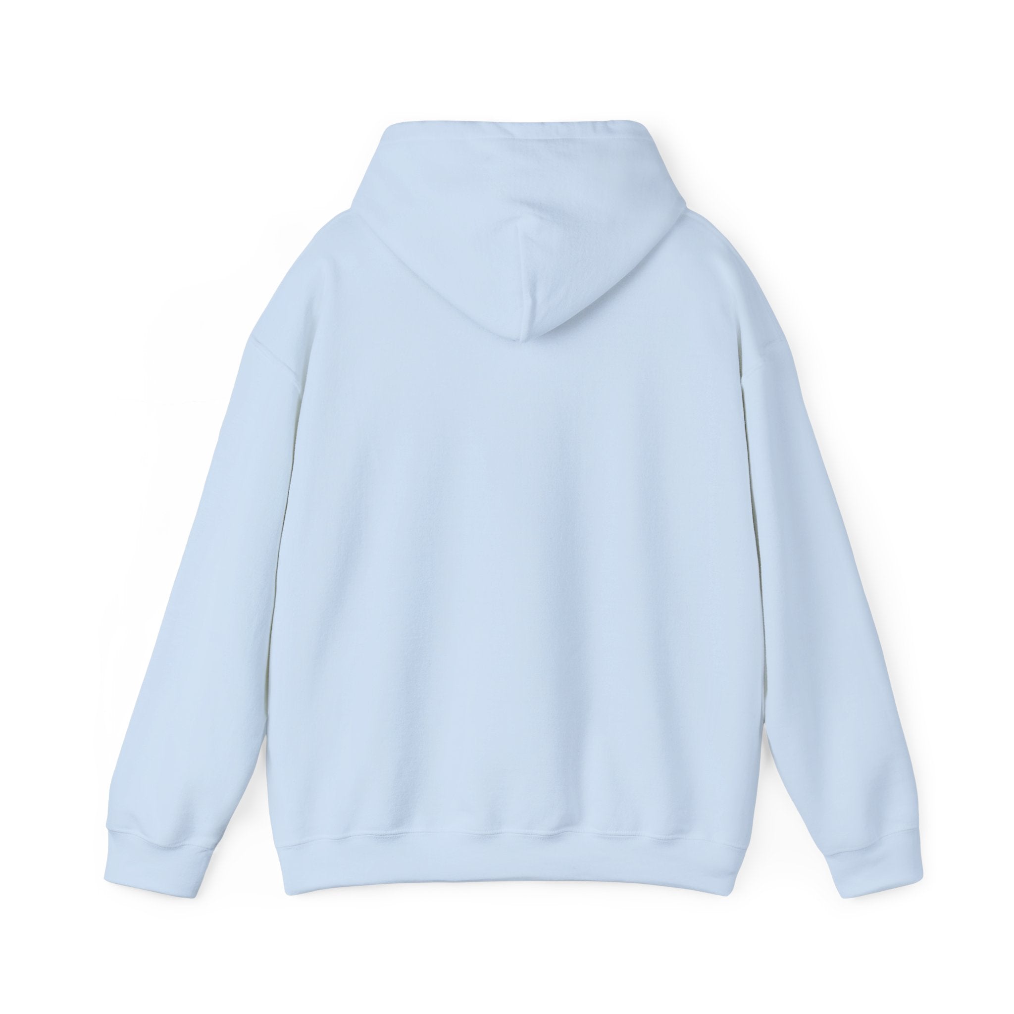 Hoodie — "Discipline Today Leads to Freedom Tomorrow" Motivational Pullover